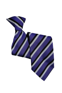 School ties1 School ties1
