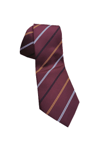 School ties10 School ties10