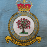 Military ties