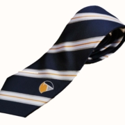 Ashleigh scotland navy corporate tie with a logo