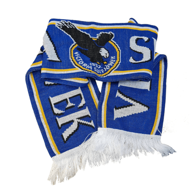 Blue knitted scarves with eagle logo
