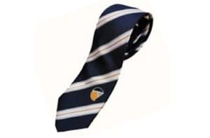 Discover amazing club ties & company ties for 2025 | club ties