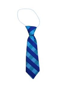 Elastic-tie-1 Keltic ties